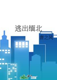 出逃缅甸